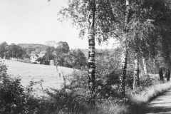 wo-sind-wir-47