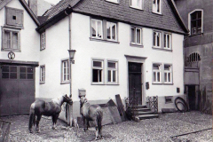 wo-sind-wir-56